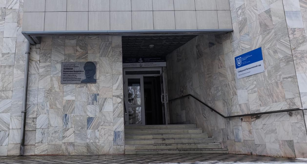 image-1024x546 (1).png